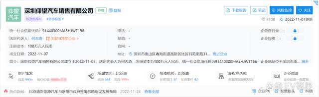 公司100%持股,其业务涉及新能源汽车整车销售;新能源汽车电附件销售
